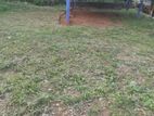 KALUTARA : 25 PERCHES PRIME LAND FOR SALE IN NAGODA