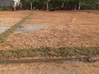 Kalutara City Limit Land Plot for Sale