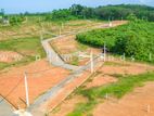 Kalutara Dodangoda Land for sale