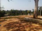 Kalutara Malwatta Land for sale