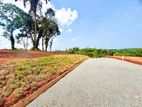 Kalutara Palathota Land for Sale