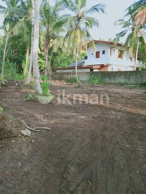 Kalutara Town : 74P Highly Residential Land for Sale in Katukurunda | ikman