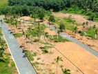 Kalutara Town Land for Sale