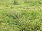Kaluthara : 201.42 perches Land for Sale at Liyanagoda