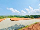 Kaluthara South Exclusive Land for Sale D