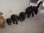 Kaluwara Elephants
