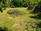 Kamburugamuwa, Matara – Ideal Land for Sale
