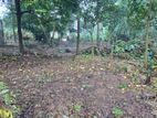 Kandana : 11.5 Perches Highly Residential Land for Sale in Bollatha