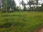 KANDANA : 185 PERCHES COMMERCIAL LAND FOR SALE