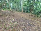 Kandana : 23 Perches Commercial Land for Sale in Bollatha