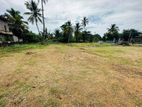 Kandana : 59.29 perches Commercial Land for Sale