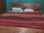 Kandana Hapugoda 03 Bed Room House on 33.2 Perches of Land for Sale