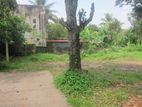 Land for Sale in Hapugoda