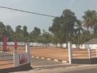 Kandana Highly Valuable and Residential Land Plots For Sale