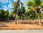 Kandana Land For Sale
