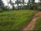 Kandana - Land for sale