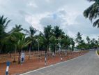 Kandana Land For Sale