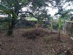 Kandana Mahabage Thotupola Gardens Land for Sale 900m to Colombo Road