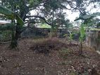 Kandana Mahabage Thotupola gardens land for sale