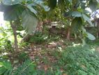 Kandana Prime Residential Lands for Immediate Sale