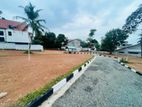 Kandana Town Highly Residential Land Plots for Sale