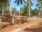 Kandana Town Luxury Land Plots for Sale Near Batagama