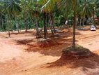 Kandana Town Luxury Land Plots for Sale Near Batagama