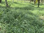 Kandanegedara - Nugawela Road Land for Sale