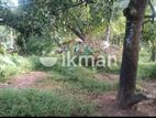 Kanduboda Biyagama 10 P Land for Sale