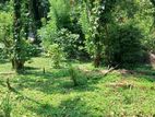 Kandy : 19.2 perches Land for Sale at Anniwatte