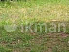 KANDY : 25 Acres Land for Sale in Galagedara