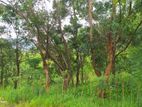 Kandy : 30 Perches High Residential Land for Sale