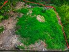 ￭ Kandy Bare Land For Sale (NK107612)
