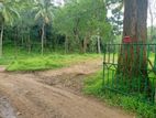 Kandy Digana 25 Acres Land for Sale