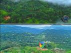 Kandy Doluwa Amazing Land for Sale D