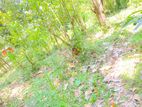 Kandy Flat Land for Sale