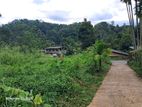 Kandy | Halloluwa Two Land Blocks for Sale