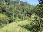 Kandy Hanthana - Beautiful 2 Blocks of Two Acres
