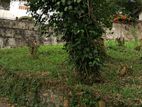 Kandy Heeressagala 14perch Land for Sale