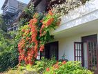 Kandy - Holiday Bungalow for sale