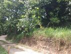 Kandy | Kudasale Prime Lands ඉඩමක පර් 11.5 ක දර්ශනීය තැනිතලා ඉඩමක්