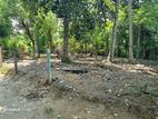 Kandy - Kundasale 21.13 Perches Land for Sale (SSPL-415)