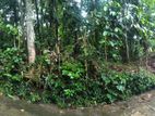 Kandy Kundasale Land for Sale