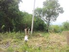 Kandy Land for Sale