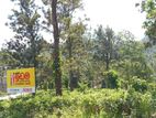 Kandy land for sale Hadeniya