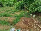 Kandy Land Sale