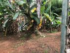 Kandy Prime Land for Sale