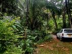 Kandy Sirimalwatta Land for Sale