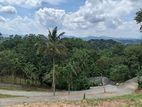 Kandy Udaperadeniya Land for Sale