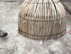 Chicken Coop